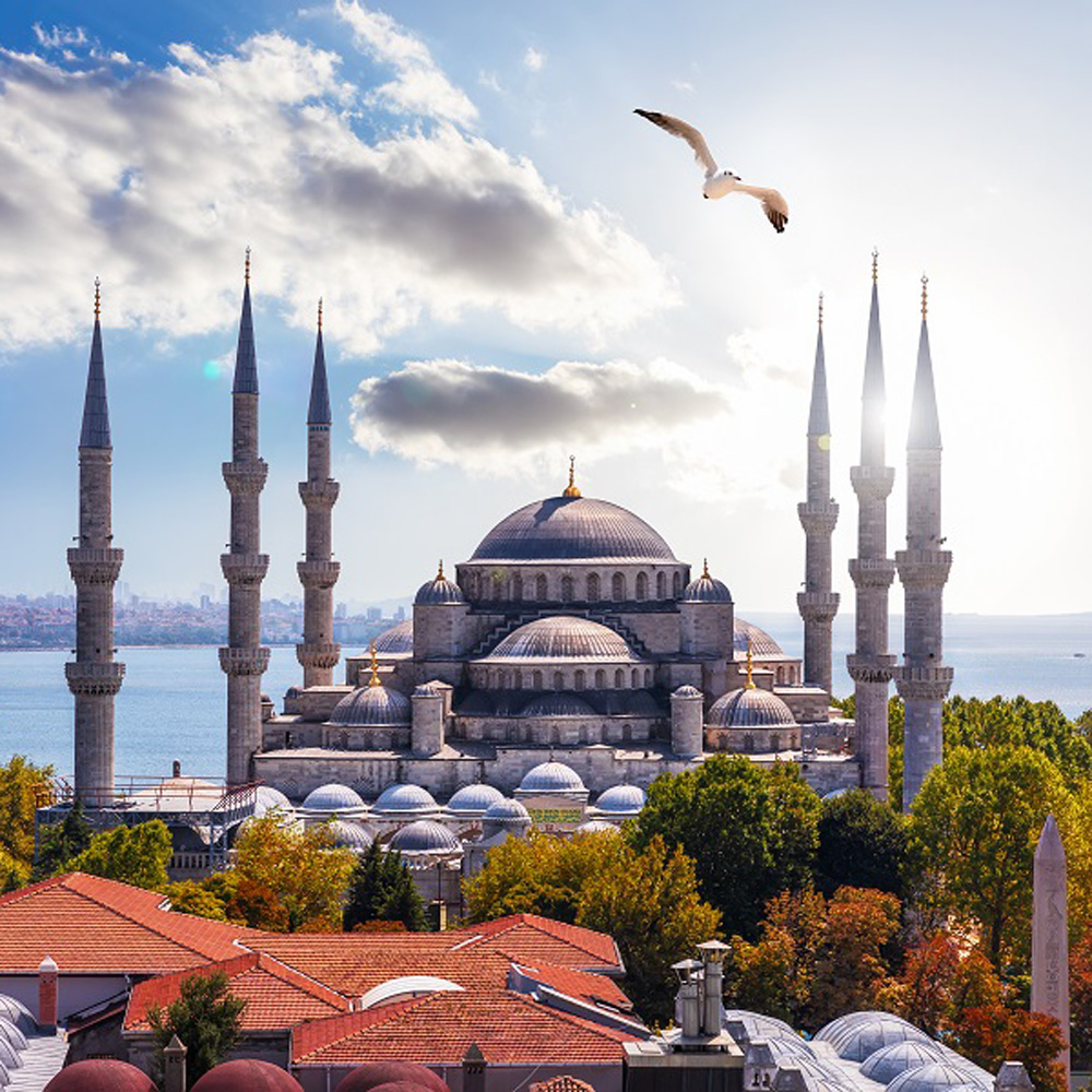 Стамбул Блакитна мечеть 2